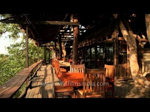 Ken River Lodge: A Riverside resort in Panna, MP