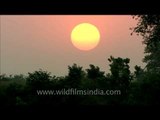 Sunset over Panna National Park