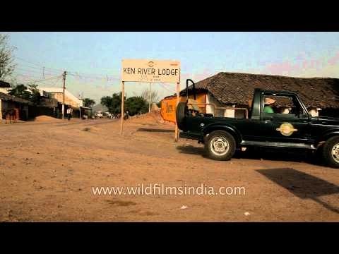 Ken River Lodge of Panna National Park