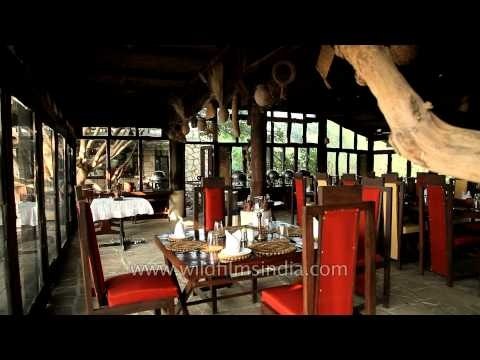 Dining area of Ken River Lodge, Madhya Pradesh