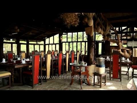 Ken River Lodge's tree house restaurant in Panna