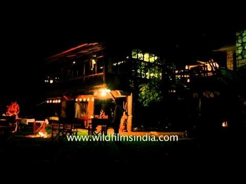 Night view of tree house restaurant at Ken River Lodge