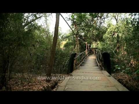 Wooden foot bridge of Ken River Lodge, Madhya Pradesh