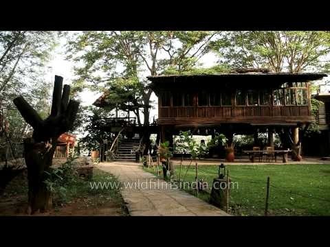 The dining tree house at Ken River Lodge