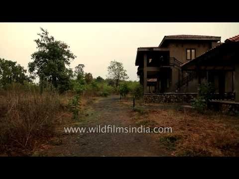 Cottages at Kings Lodge in Bandhavgarh