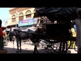 Horse cart ready for a ride - Haridwar