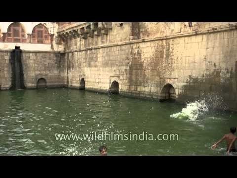 Boys swimming in the Baoli of Nizamuddin