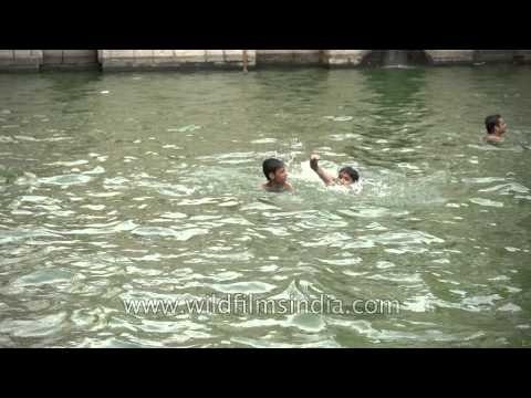Kids swim to cool down at Nizamuddin Baoli in Delhi