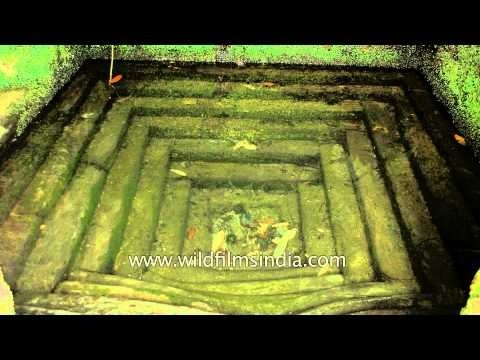 Kumaon - terraced fields and stepped well arrangement