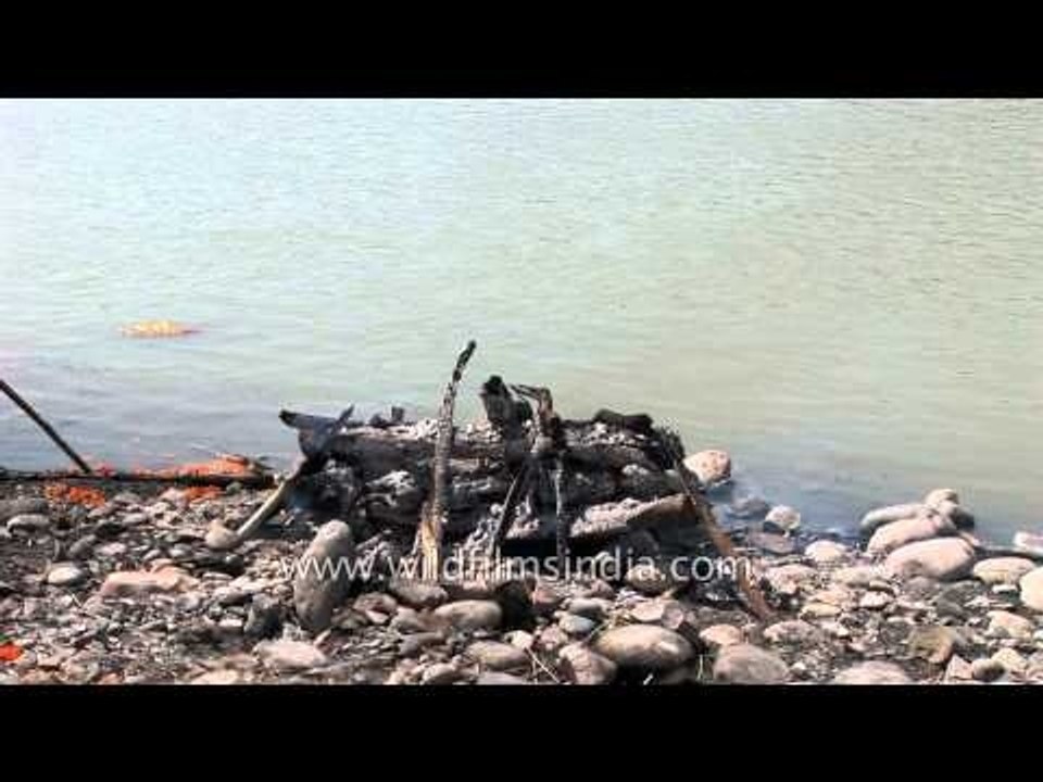 Burning of a Hindu corpse at Chandi cremation ghat - Haridwar