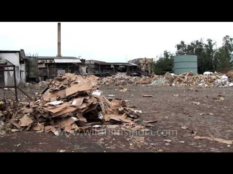 Recycling European paper trash in India
