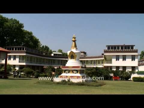 Monks sitting at the park of Mindroling Monastery, Dehradun