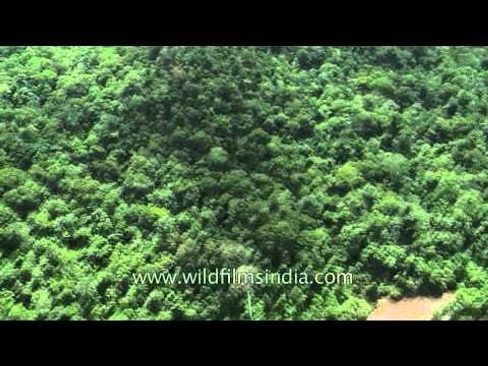 Flying over Andaman Island
