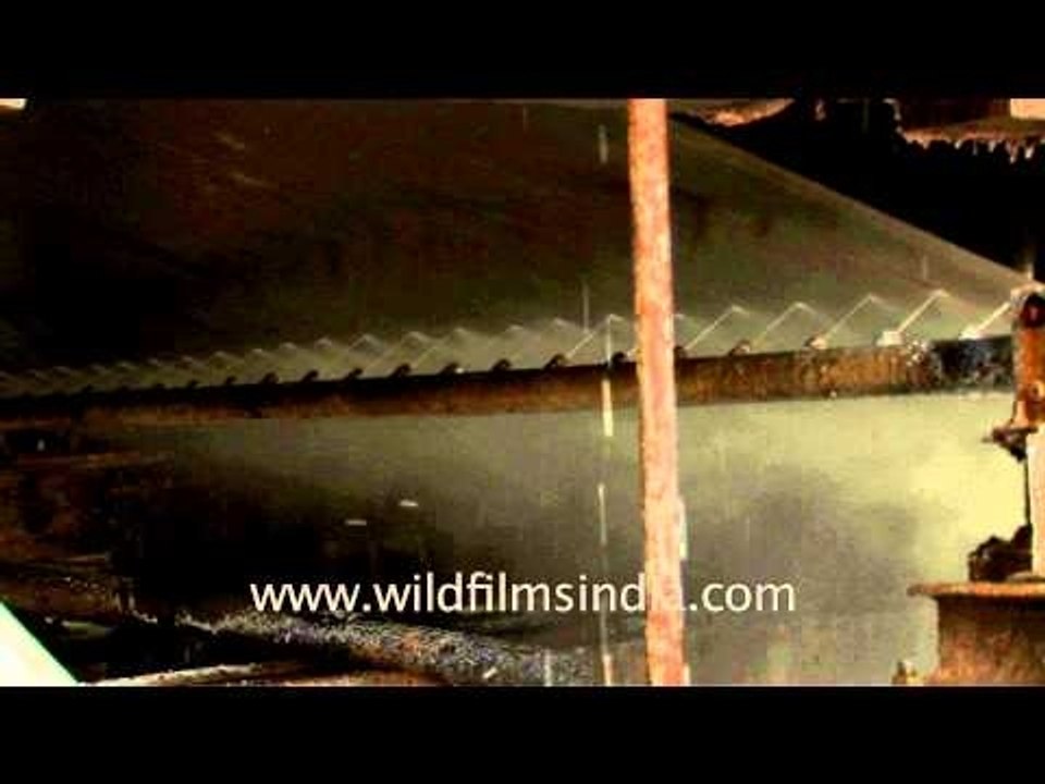 Process of paper recycling in India