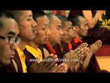 Tibetan monks read scriptures and pray, all in a line