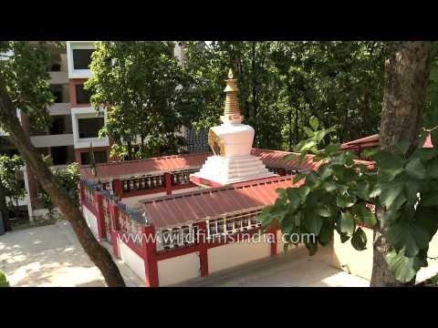 Mantra-Taming stupa: one of the Buddha's eight types of stupas - Dehradun
