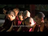 Monks gather to worship Lord Buddha at Mindrolling Monastery