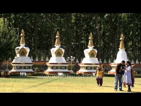 Monks waiting for evening prayer at Mindroling Monastery