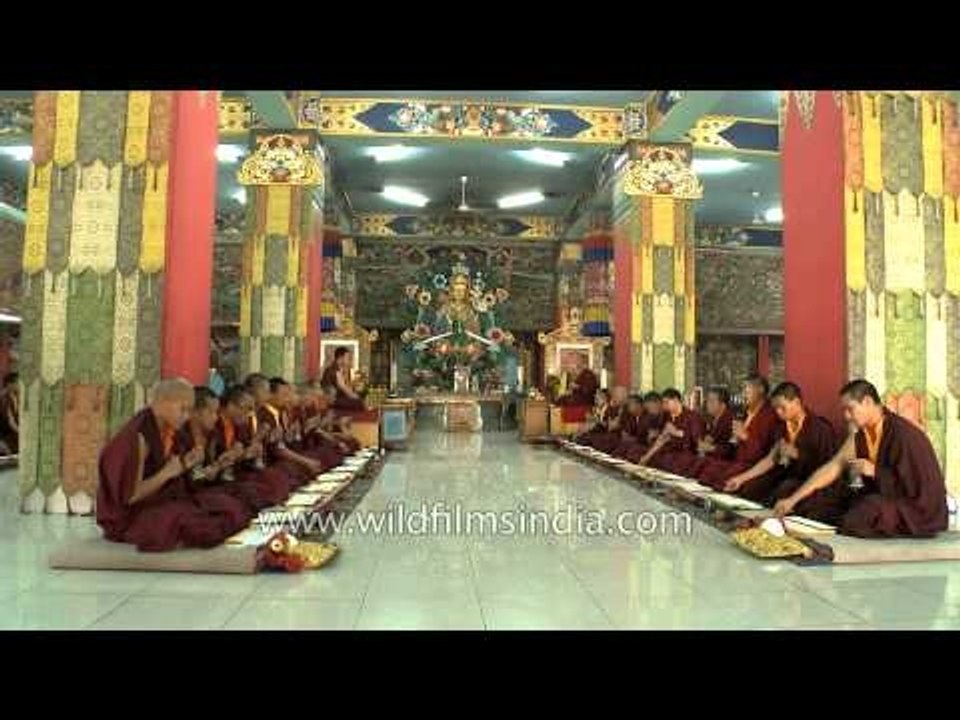 Buddhist monks pray during an evening congregation at Mindrolling Monastery