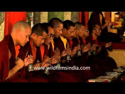 Worshipping the Lord Buddha at Padmasambhava Shrine, Dehradun