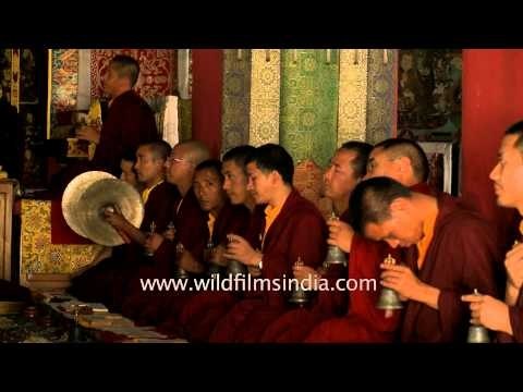 Monks pray to Lord Buddha at the Mindroling Monastery of Dehradun