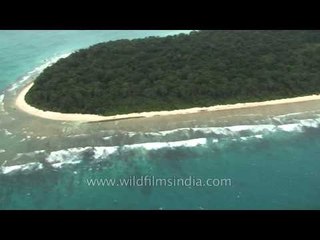 Aerial view of Andaman's dense forest