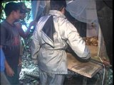Shifting Pythons from temporary habitat to their natural habitat - Assam