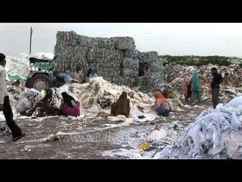 Workers shuffle paper for recycling in Mawana