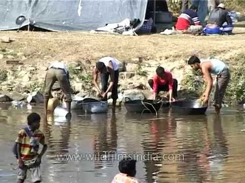 Men wash utensils and dishes in dirty pond water, Assam