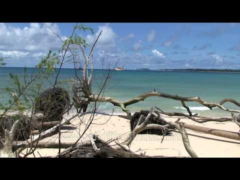 Andaman & Nicobar Islands: jewels of Bay of Bengal
