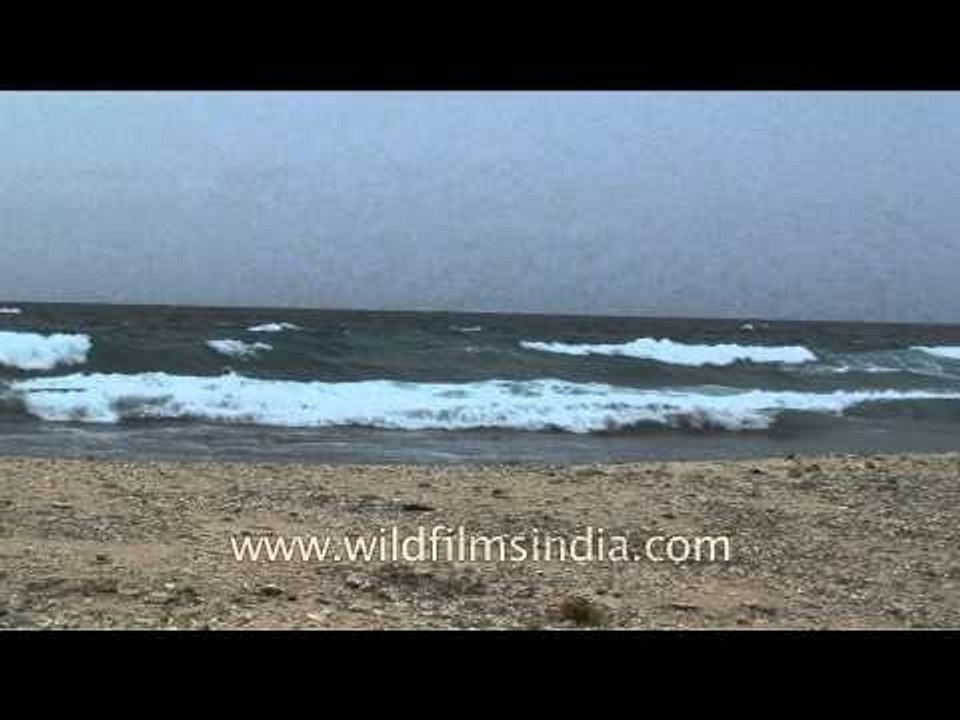 Waves lapping upon the shores of Andaman and Nicobar Islands