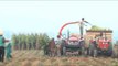 Forage harvester : Advanced mechanised method of harvesting crops