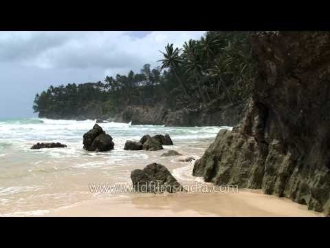 Waves crashing against rocks on a beach, Andaman & Nicobar