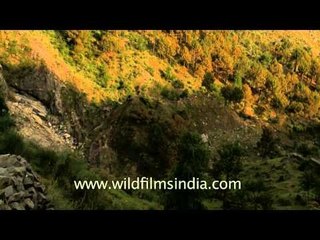 Sunset in Bhagsunath - Dharamshala