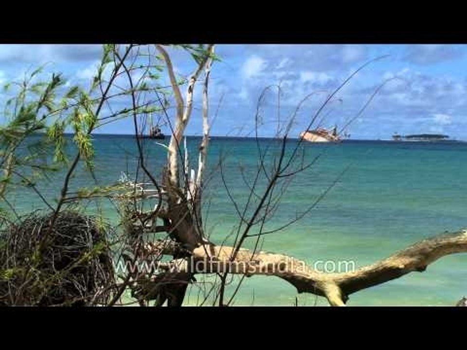 Beach at Andaman and Nicobar Islands