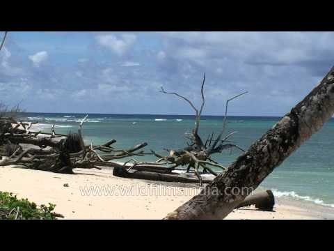 Scenic view of Andaman & Nicobar Islands