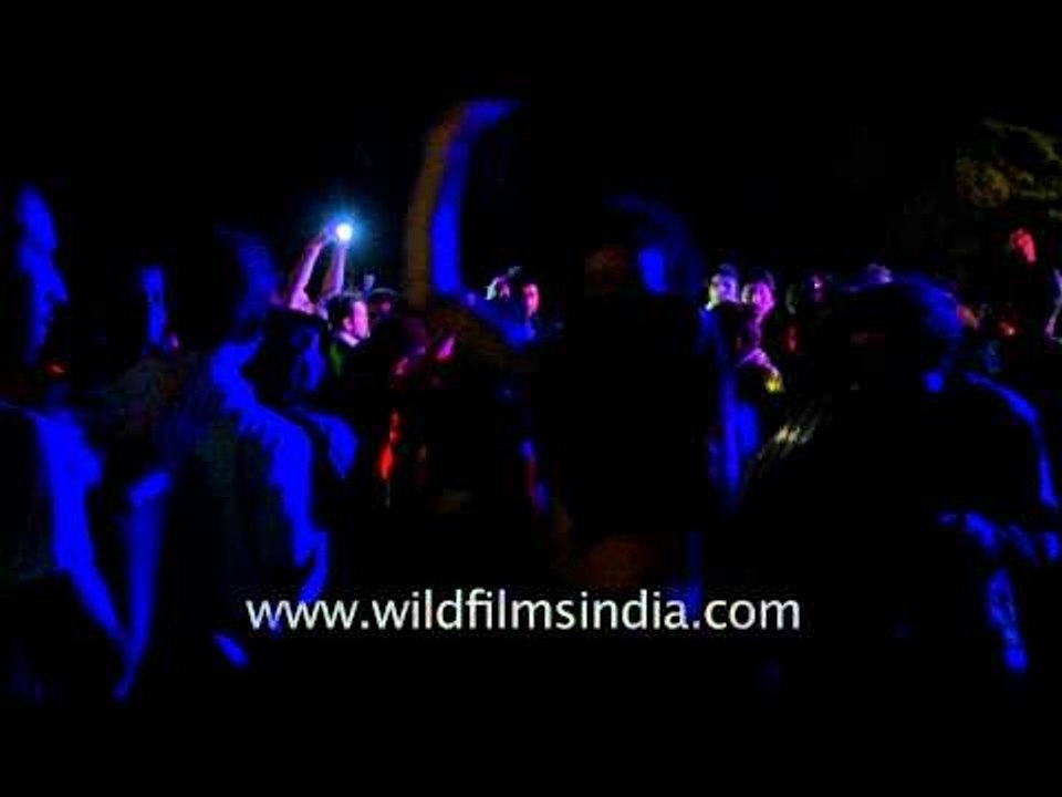 Crowd lit by rainbow colours on the dance floor