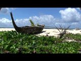 Wooden boat on the shore of Andaman and Nicobar Islands