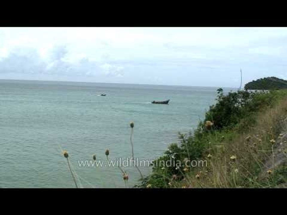 Fishing boats head back to deliver their catch : Andaman & Nicobar Island