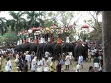Thrissur Pooram festival draws foreign tourists to India