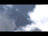 Himalayan Griffon Vultures in a clear blue Uttarakhand sky