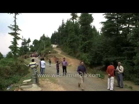 Choliya dancers join Kumaoni 'baraat' procession