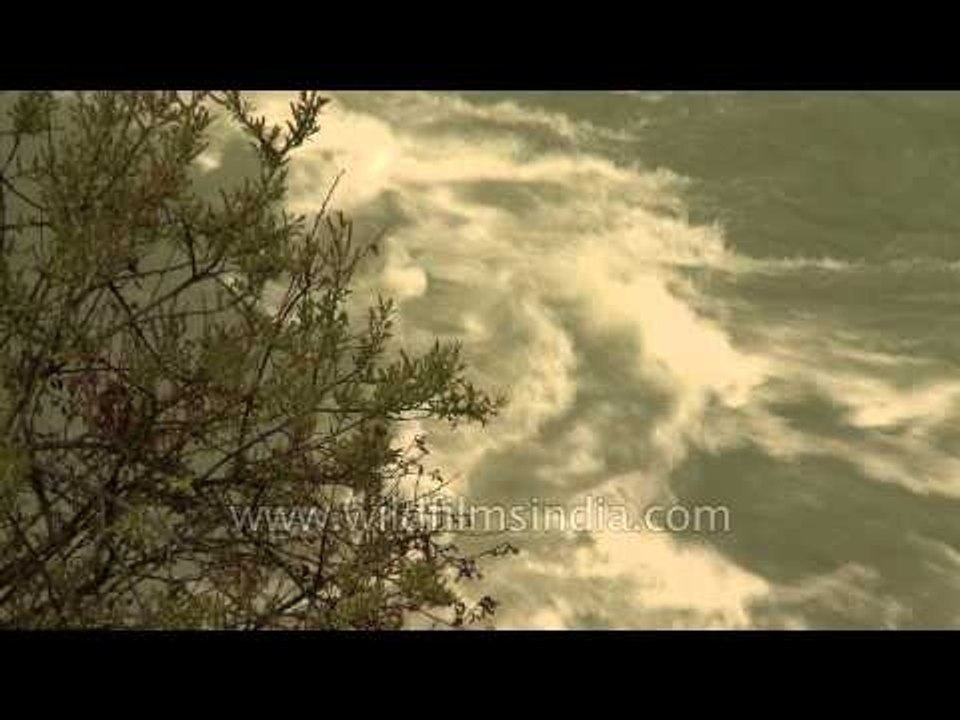 River Alaknanda along the valley of Badrinath