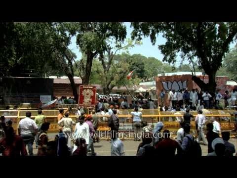 BJP supporters celebrate party's victory