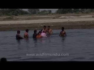 Ganesh idol festivities on the banks of river Yamuna