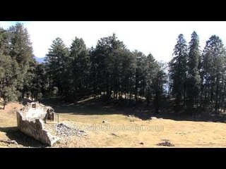 View of the surroundings of Deoban Forest Rest House