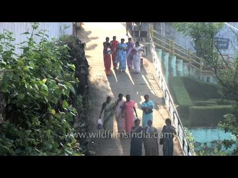 Visitors heading towards Thiruparappu Waterfalls