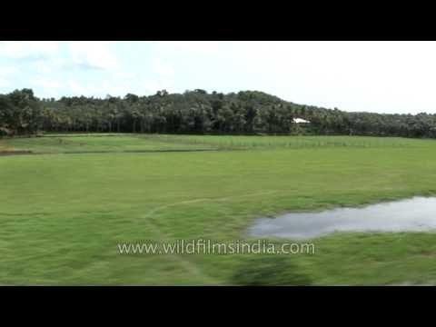 Kerala landscape as seen from a train