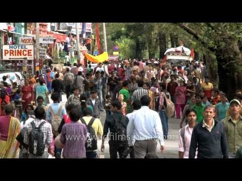 Devotees from all walks of life at Nanda Devi Mahotsav