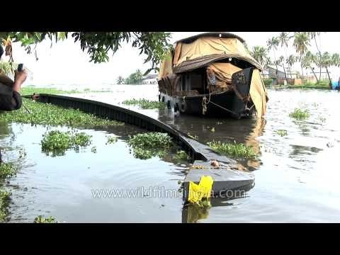 Overturned snake boat in the backwaters of Kerala